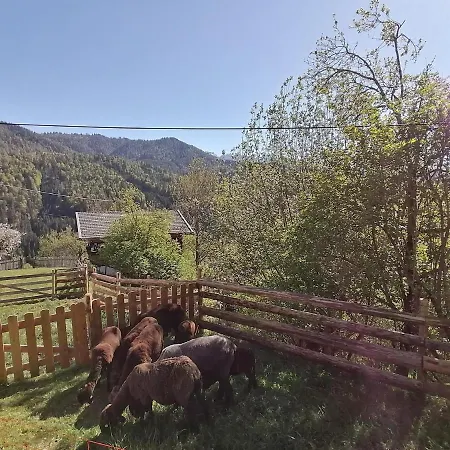 Farm stay Haus Ausserberg Steinberg am Rofan
